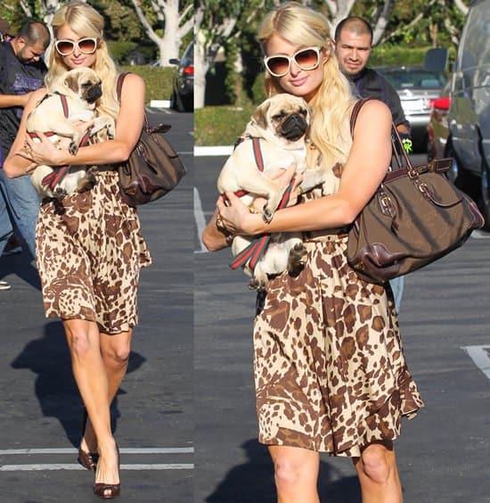 Paris Hilton exudes casual elegance in a chic animal-print dress, brown peep-toe heels, and oversized sunglasses as she exits Fred Segal in Los Angeles with her adorable pug on August 23, 2010