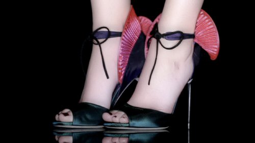 Sergio Rossi Fall shoes from Sergio Rossi