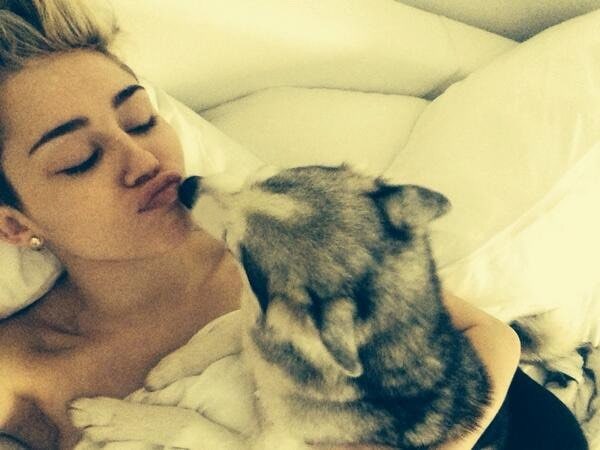 Miley Cyrus' post-21st birthday Twitter pic with the caption "it keeps getting better"