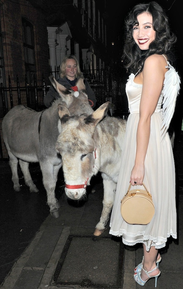 Daisy Lowe did her best to charm a couple of donkeys