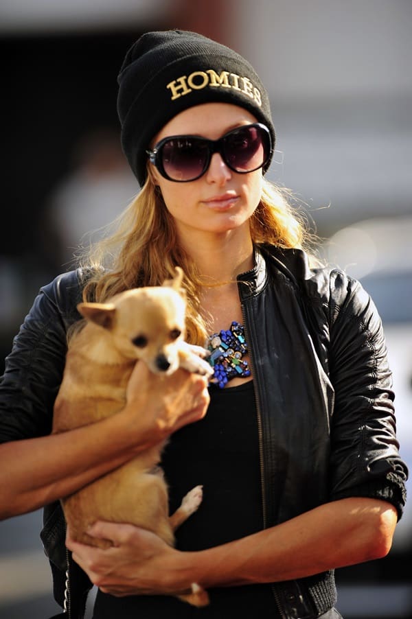 Paris Hilton, always accompanied by her Chihuahua pet pooch Peter Pan, heads to Meche Salon in Beverly Hills