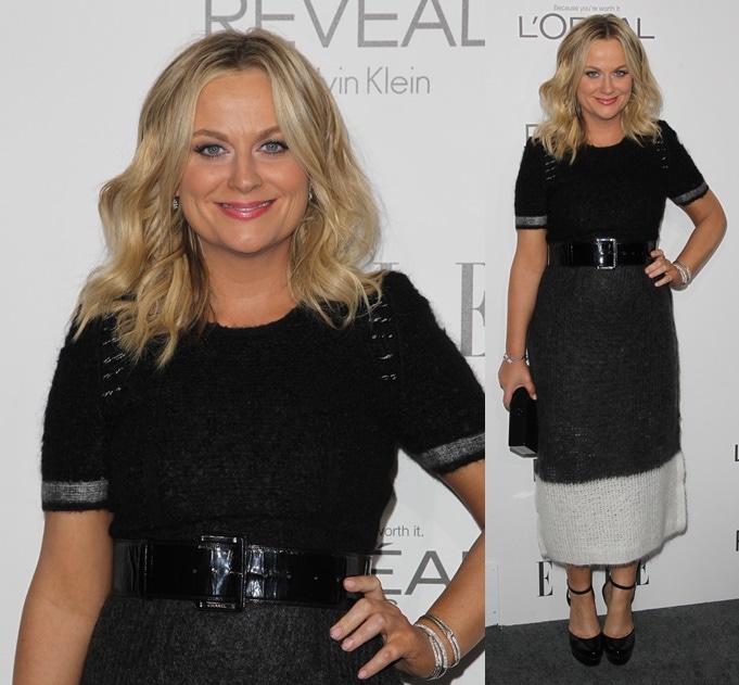 Amy Poehler keeps it classic in a two-toned Calvin Klein Fall 2014 dress, completing her look with elegant black ankle-wrap platform pumps
