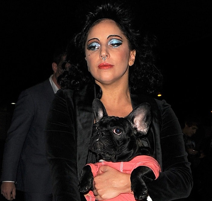 Lady Gaga enjoying the company of her batpig (French bulldog)