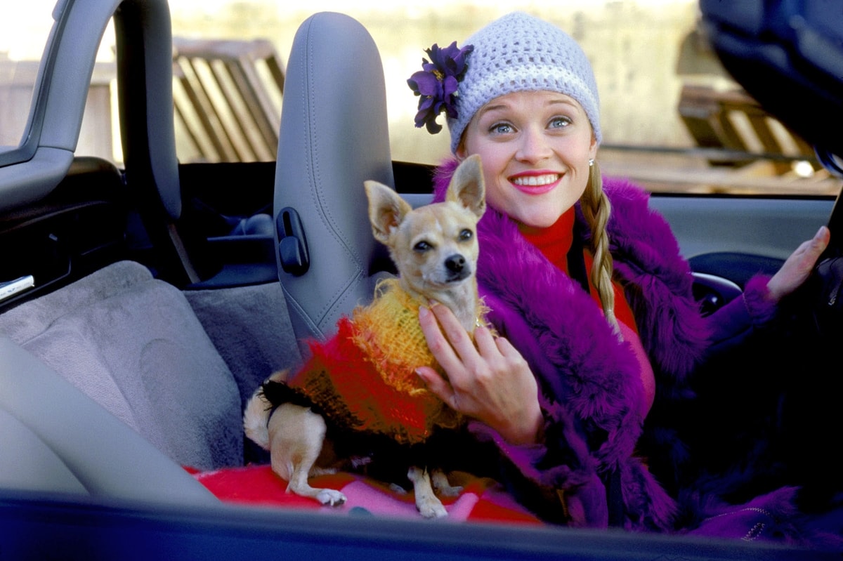 Reese Witherspoon poses with Moonie, the Chihuahua who memorably played Bruiser Woods in Legally Blonde and Legally Blonde 2: Red, White Blonde, and who passed away in 2016 at the age of 18, leaving behind a lasting pop-culture legacy