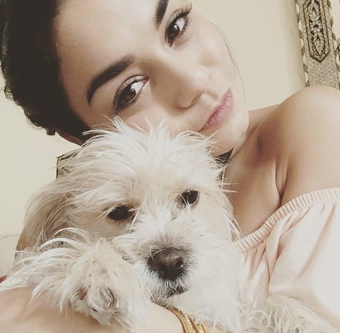 Austin Butler's mom rescued Darla from neglectful owners and Vanessa Hudgens adopted the dog after Austin's mom died