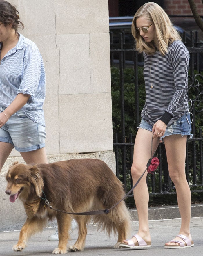 Amanda Seyfried takes her beloved dog Finn for a walk through New York City on August 27, 2015, showcasing their close bond during a casual day out
