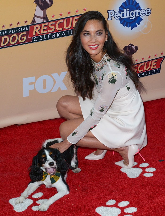 Olivia Munn crouches beside her black-and-white cocker spaniel, Chance, whose floppy ears and bright green bow tie add a playful charm to the red carpet moment