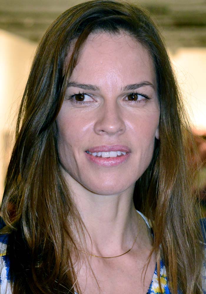 Hilary Swank broke up with her long-time boyfriend Laurent Fleury earlier this year
