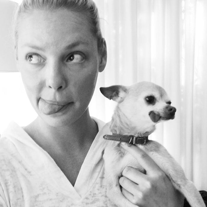 Katherine Heigl shares a playful moment with her rescued Chihuahua, Gertie, who became known for her signature tongue-out expression following a jaw injury