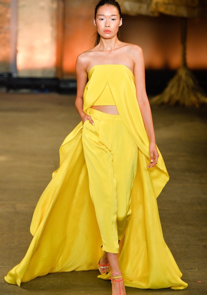 Christian Siriano Spring 2014 Pant and Top