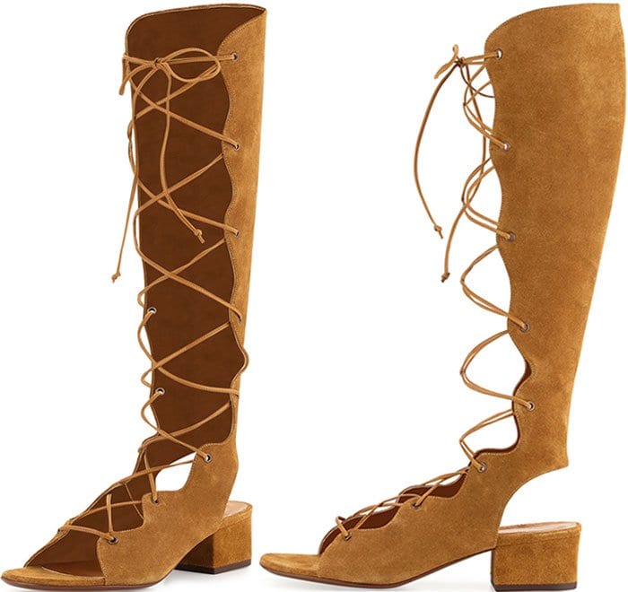 Saint Laurent "Babies" Suede Knee-High Gladiator Sandals