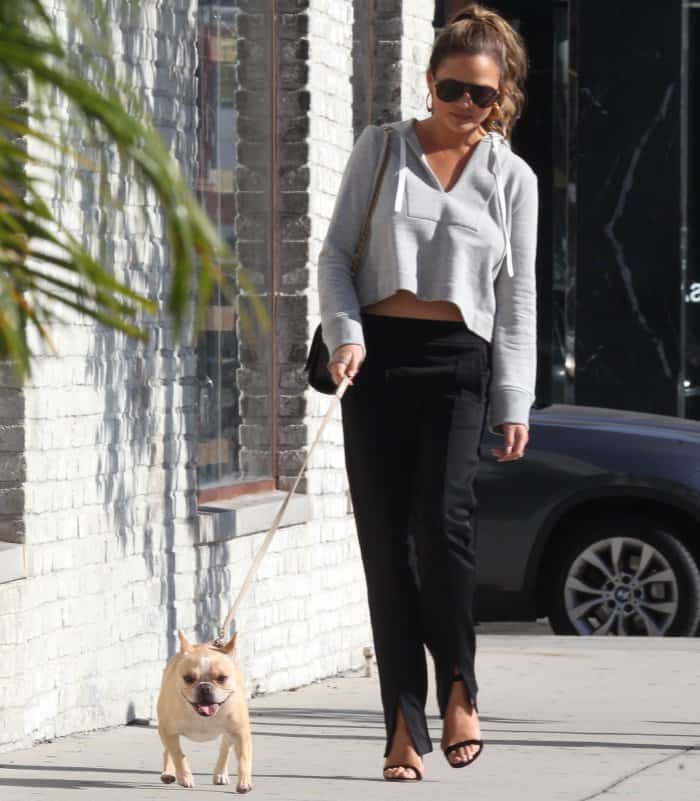 Chrissy Teigen walks her dog Pippa in Los Angeles wearing a cropped gray A.L.C. hoodie, black slit-hem track pants, and black clear-heel sandals