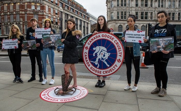Wearing a replica Canada Goose jacket, a PETA model stands in a "bloody" steel trap at a protest in Knightsbridge, London, on March 14, 2017
