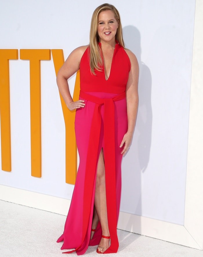 Amy Schumer in a two-toned pink Brandon Maxwell dress with plunging neckline and belt