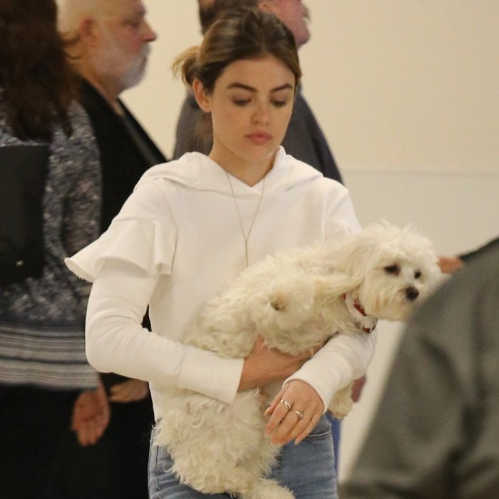 Lucy Hale carrying her adorable two-year-old maltipoo Elvis at LAX on April 2, 2018