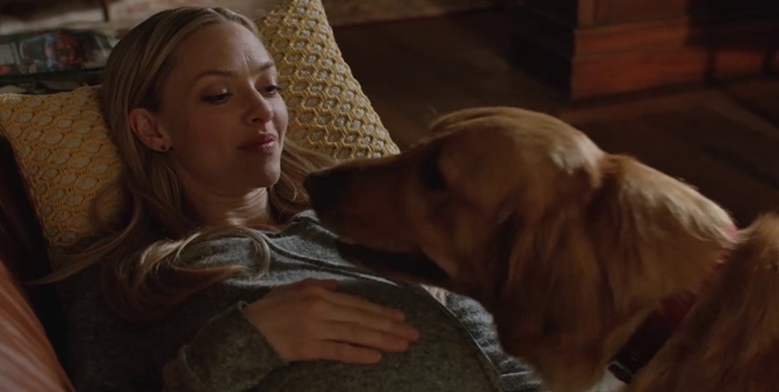 Amanda Seyfried shares a tender moment with Enzo, the Golden Retriever in a heartfelt scene from The Art of Racing in the Rain
