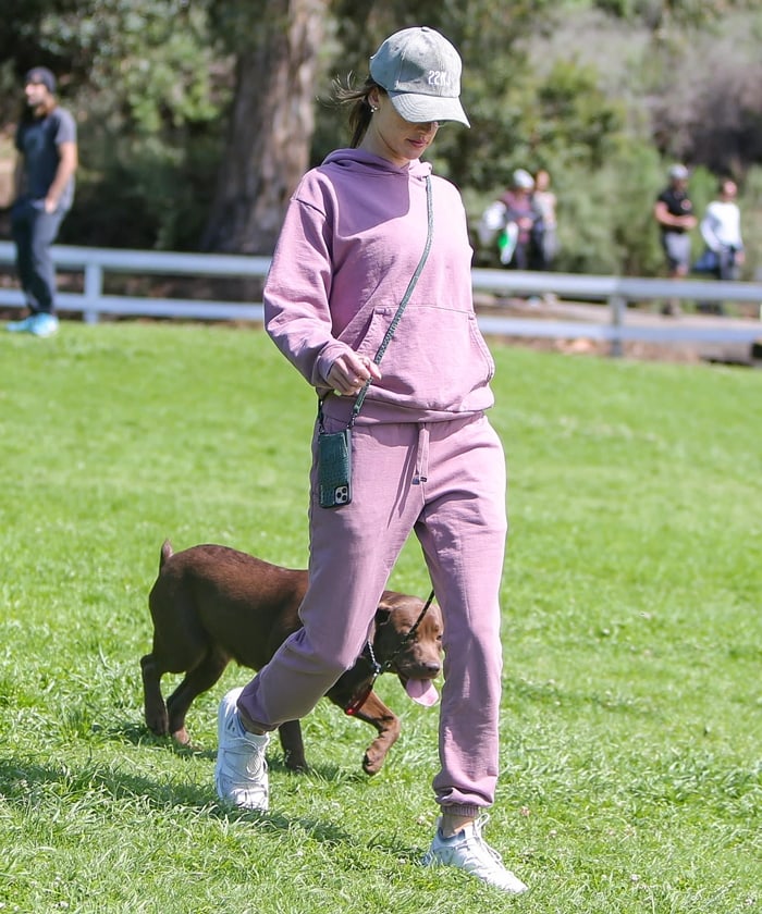 Alessandra Ambrosio keeps it effortlessly chic in a blush pink sweatsuit and Stella McCartney Pure Boost sneakers while walking her chocolate Lab, Cinnamon