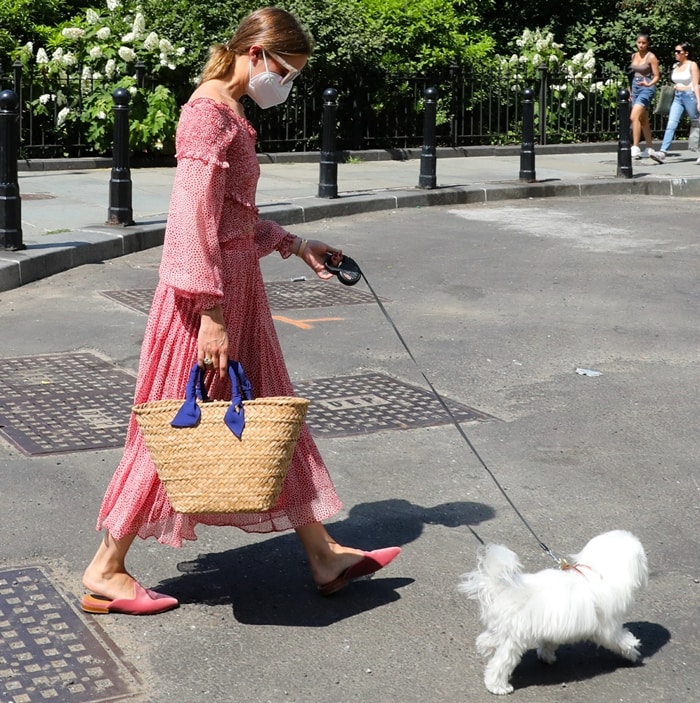 Olivia Palermo pairs a red-and-white Lucy Paris set with pink velvet Le Monde Bèryl Venetian Mules while walking her Maltese, Mr. Butler, in Brooklyn