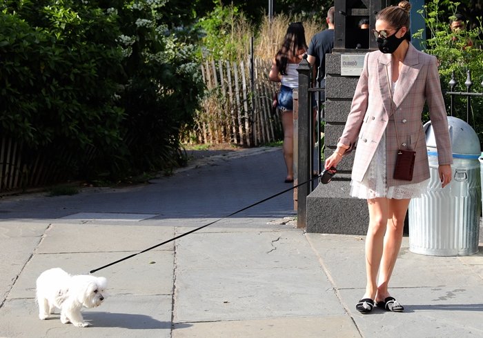 Olivia Palermo pairs Giannico crystal-embellished mules with a lace mini dress and plaid blazer while walking her Maltese, Mr. Butler, through Brooklyn