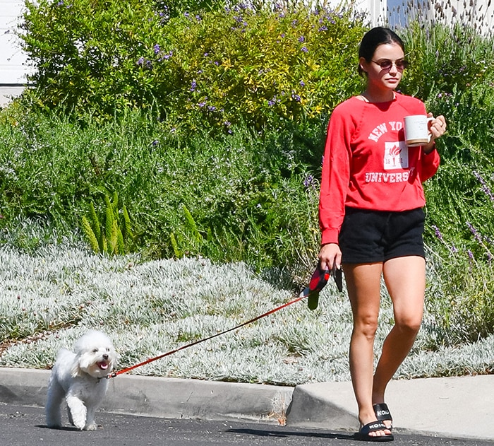 Lucy Hale embraces laid-back off-duty style while walking her dog, pairing a vintage NYU sweatshirt and black shorts with sleek Koio slide sandals and Reality Eyewear sunglasses for an effortlessly cool Studio City stroll
