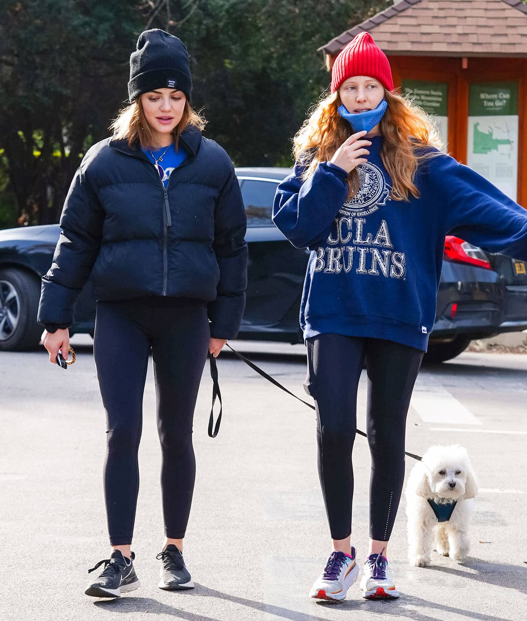 Lucy Hale wears black Nike Renew Run sneakers with leggings and a navy puffer jacket while hiking with her Maltipoo, Elvis, at Fryman Canyon