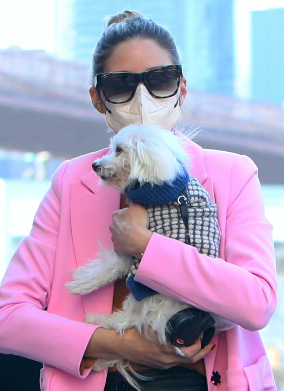 Olivia Palermo holds Mr. Butler while wearing a pink Smythe coat, tortoiseshell sunglasses, and a white face mask
