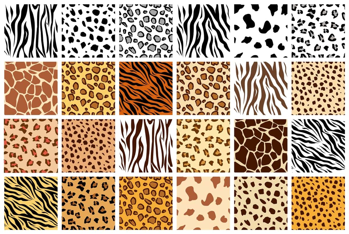 A vibrant collection of animal prints featuring cheetah, giraffe, tiger, zebra, leopard, Dalmatian, cattle, and jaguar patterns, showcasing nature's diverse designs