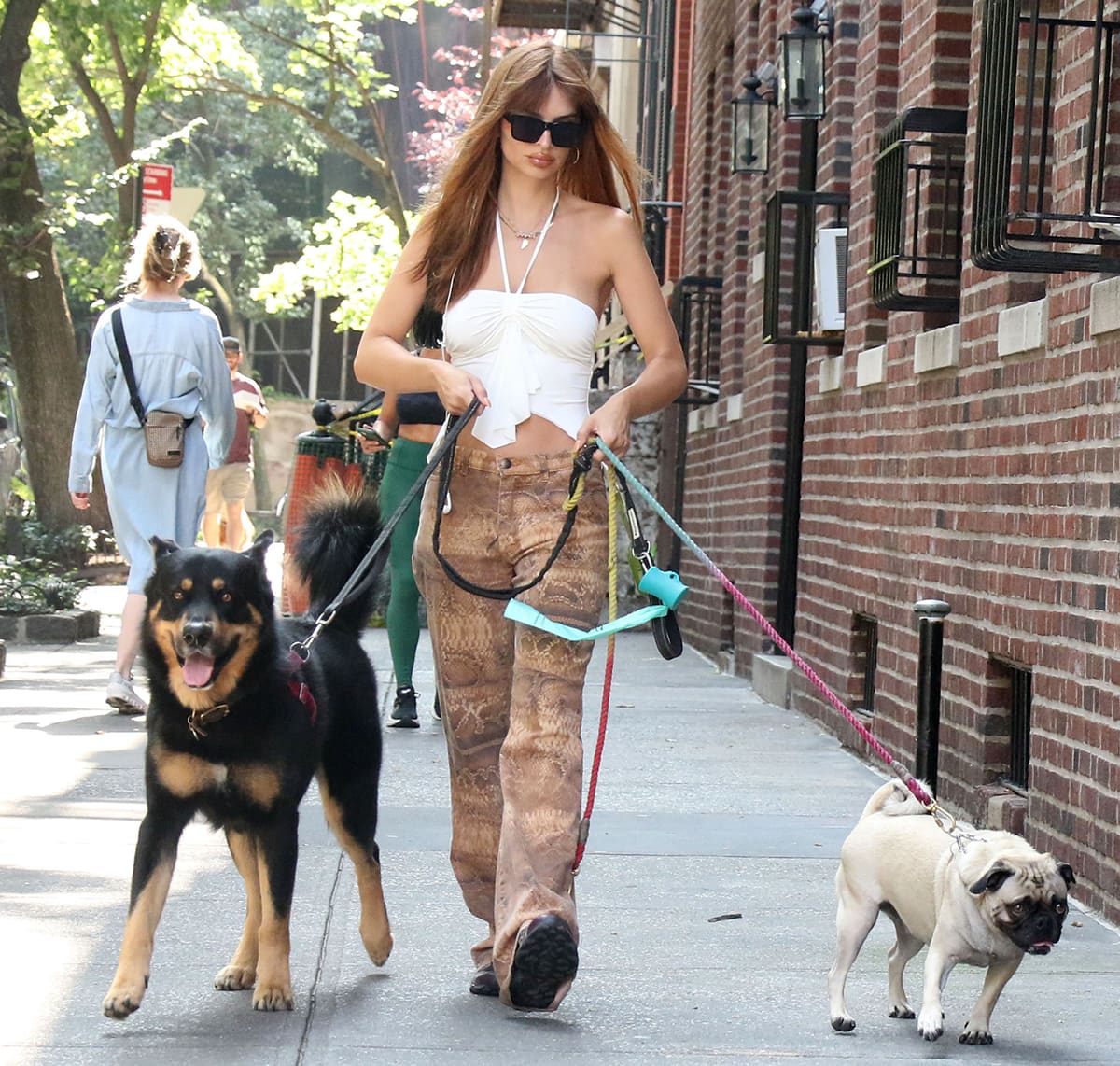 Emily Ratajkowski stylishly walks her dogs, Colombo and a tiny pug, in New York City on July 26, 2023