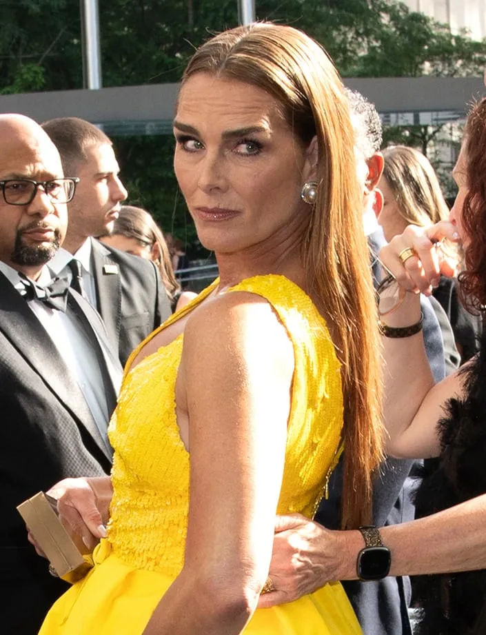 Brooke Shields styles her light brown hair straight and wears glittery smokey eye makeup and her signature thick eyebrows